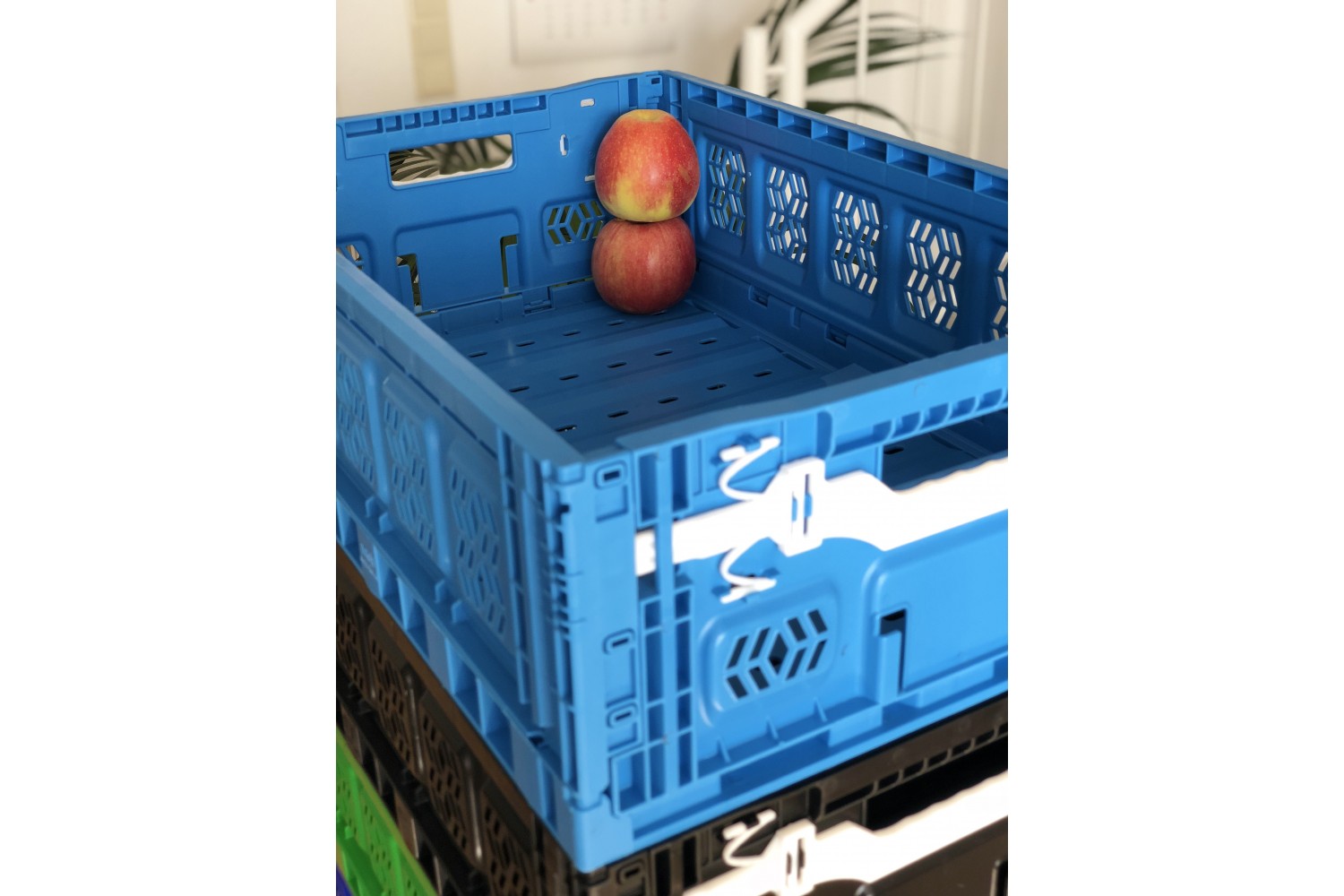 Loop Pro Active Lock 604018